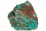 2" Dioptase Crystals on Dolomite - Mpita Prospect, Congo - #131270-1